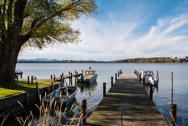 想起过去皇 想起过去皇