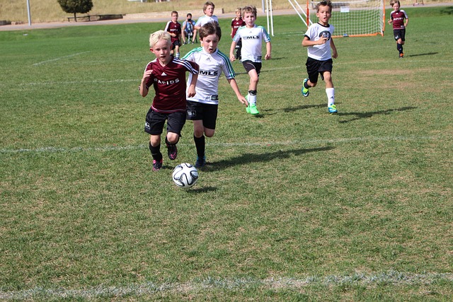 类别迅速发 类别迅速发