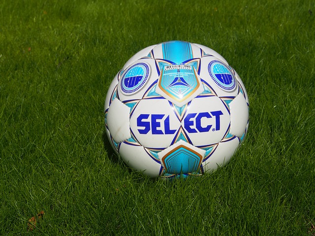 经验丰富的 经验丰富的