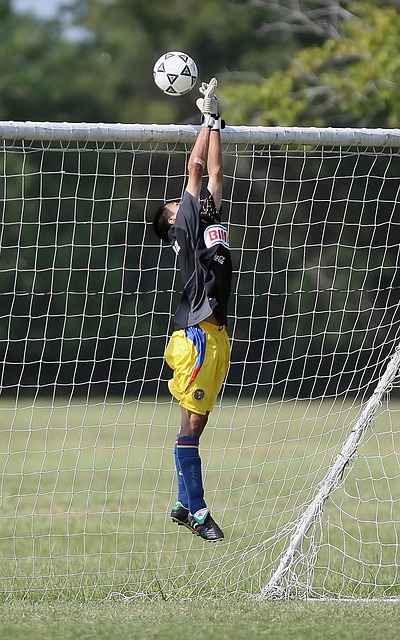 鯤鵬徑还融 鯤鵬徑还融