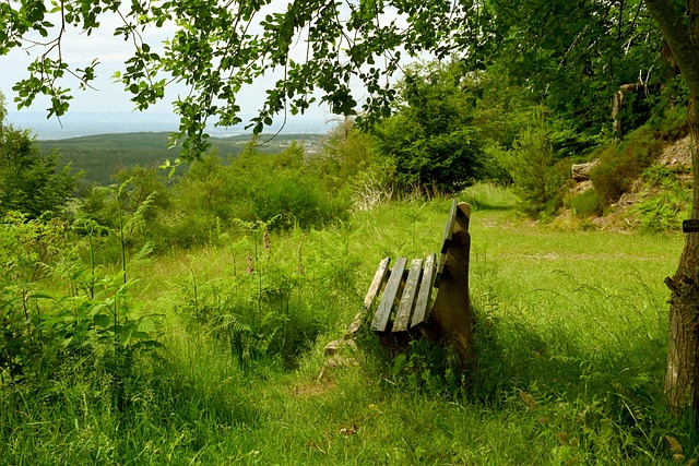 这场比赛 这场比赛
